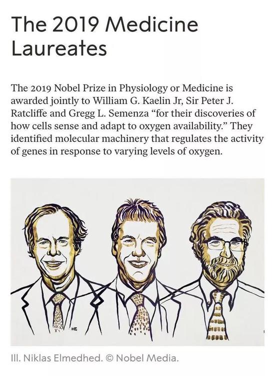 1 - 副本 - 副本 - 副本 - 副本.jpg