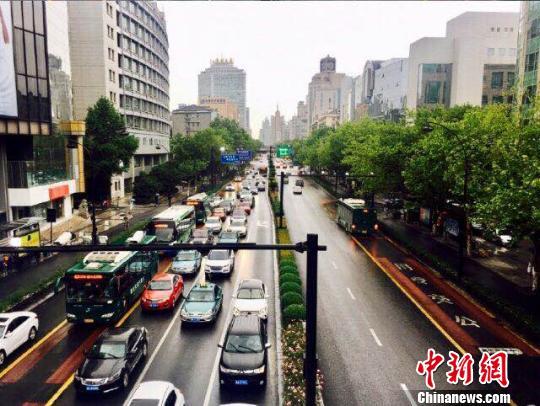 杭州某路段。钱晨菲 摄