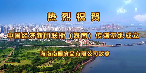 海南南国食品有限公司.jpg