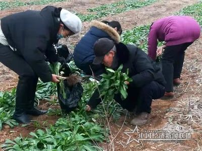 微信图片_20210202204438 (1).jpg