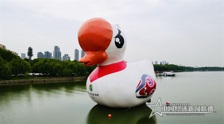 气模兰小白在东湖 (5) 苏立强.png