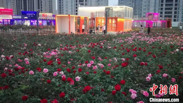 游园会现场。沈阳市和平区供图 游园会现场。沈阳市和平区供图