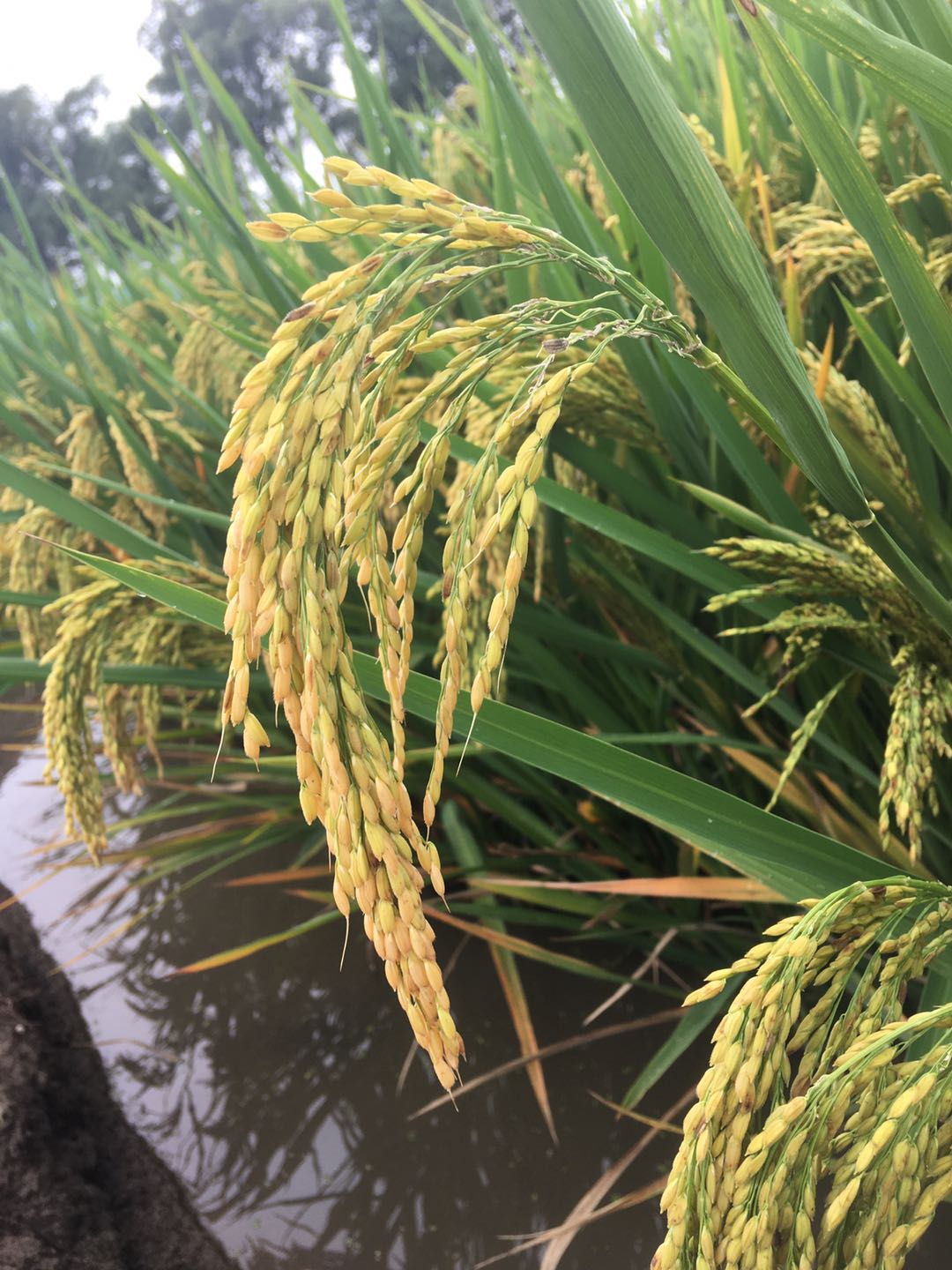 微信图片_202112021843136.jpg 微信图片_202112021843136.jpg