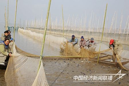 IMG_2716_proc.jpg?v=1705131230