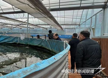 QQ图片20240117090407.jpg?v=1705560457