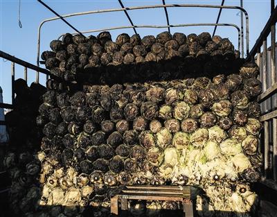 北京一市场失火烧百吨蔬菜 白菜批发价“猛涨”