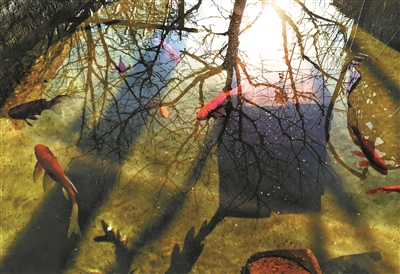 1457922795180907.jpg 1118317083_14579118659751n.jpg