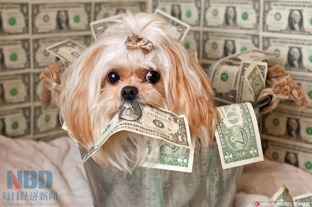 20140526_10769.thumb_head