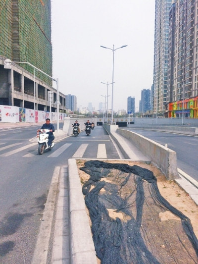 1459998073514001.jpg 128869169_14599350624091n_副本.jpg