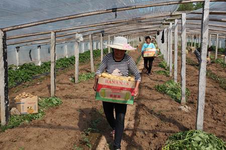 1461288866734272.jpg IMG_2370.JPG