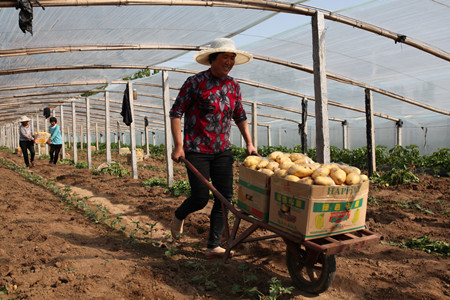 1461288874652380.jpg IMG_2387.JPG