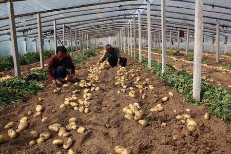 1461288890328892.jpg IMG_2394.JPG