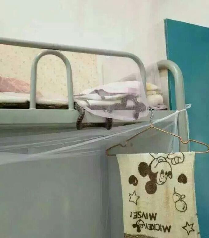 1466554134879244.jpg 01.jpg