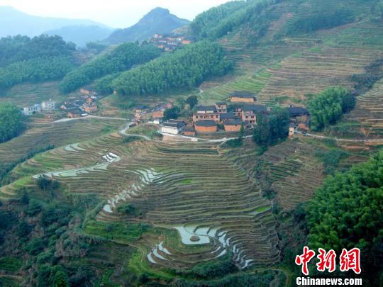 探访福建黄兰大峡谷野生猕猴的乐园