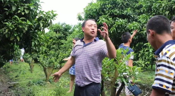 1467188834187425.png QQ图片20160629162547.png