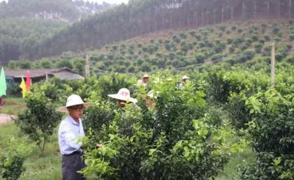 1467188872890862.png QQ图片20160629162636.png