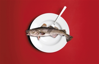 1467678940403621.jpg 129116292_14676751966021n.jpg