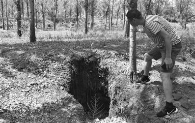 1470365698870346.jpg 137163991.jpg