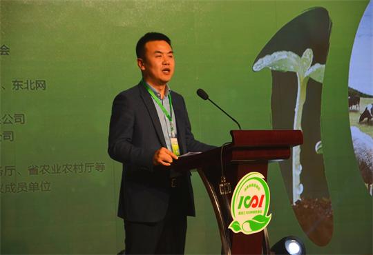 吴3.jpg