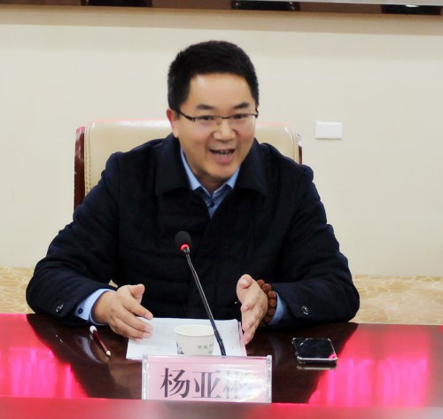 5.安徽巨成中和文化旅游综合开发有限公司董事长杨亚彬讲话_副本.jpg