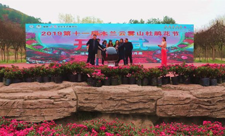 c018e6d49d3243f5890a8216071f36c2_副本.jpg