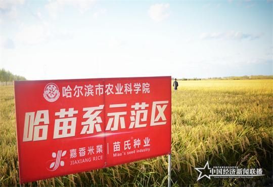 鉴会品3.jpg